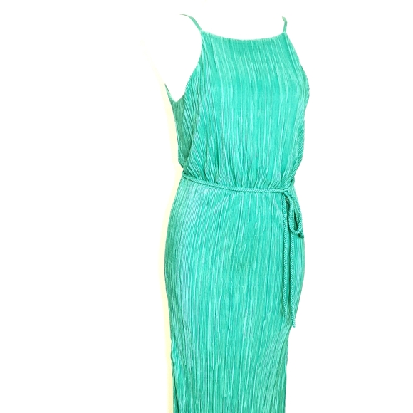 New York & Company Green Mirco Pleated Midi Dress - Picture 5 of 15